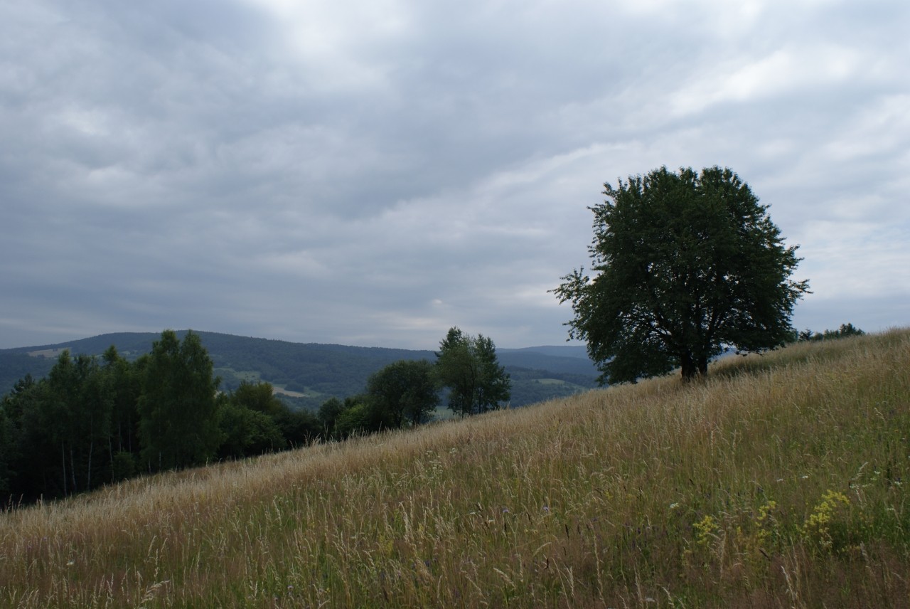 Beskid Niski